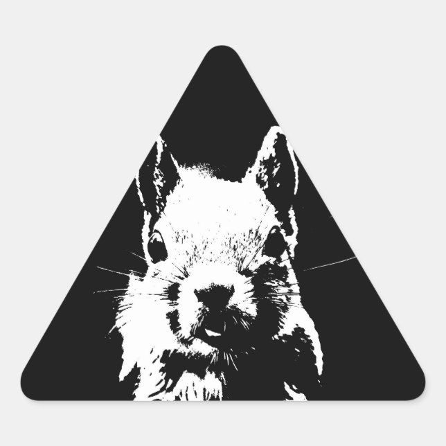 Squirrel Triangle Sticker (Front)