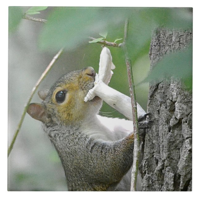 Squirrel Trivet (Front)