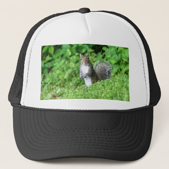 Squirrel Trucker Hat (Front)