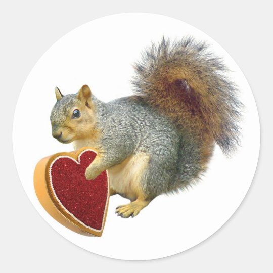 squirrel valentine stuffed animal