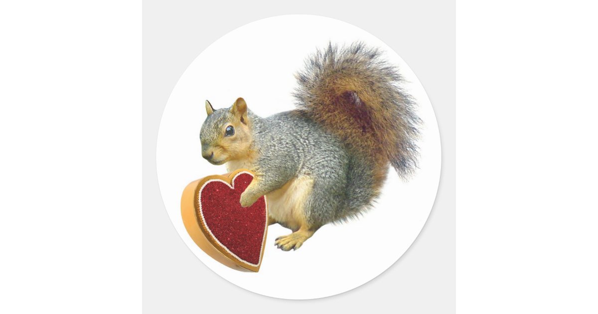 squirrel valentine stuffed animal