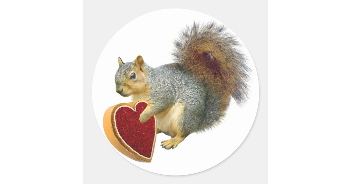 Squirrel Valentine Classic Round Sticker | Zazzle.com