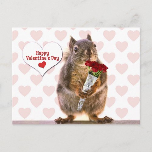 Squirrel Valentine Holiday Postcard