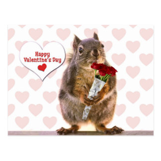 Funny Squirrel Valentines Day Cards | Zazzle