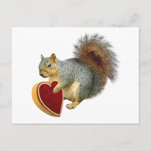 Squirrel Valentine Postcard