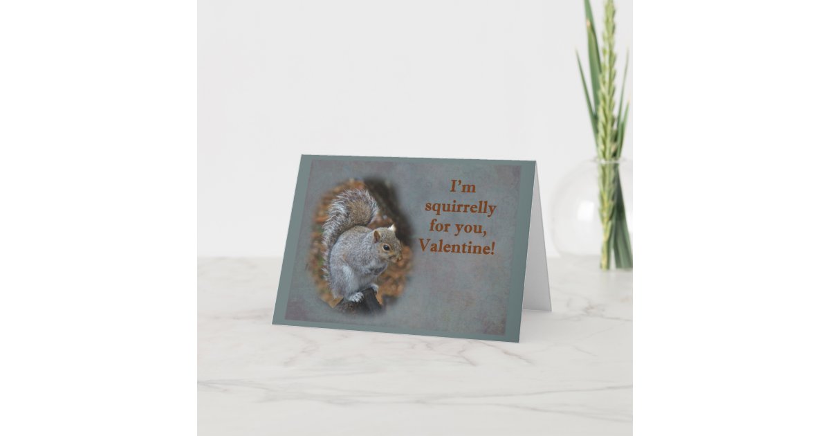 Nuts About You Love Anniversary Valentines Day Squirrel Nature Greeting