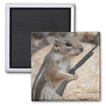 Squirrel Vengeance Magnet by poozybear at Zazzle