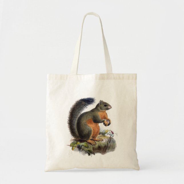 Squirrel vintage illustration tote bag (Front)