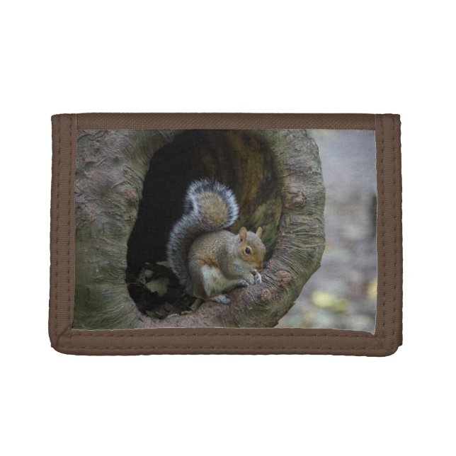 Squirrel Wallet (Front)