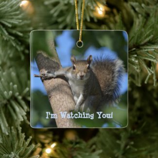Squirrel Watching from a Tree Personalized