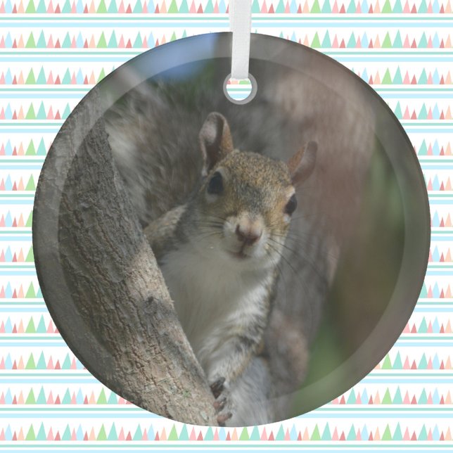 Squirrel Watching from a Tree Photographic Glass Ornament (Creator Uploaded)