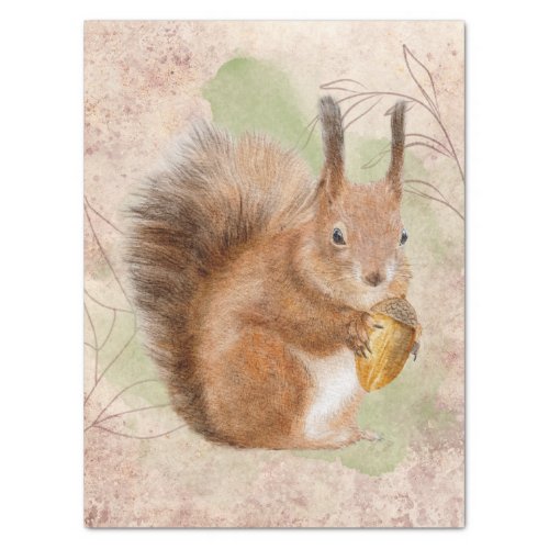 Squirrel Watercolor Tissue Paper