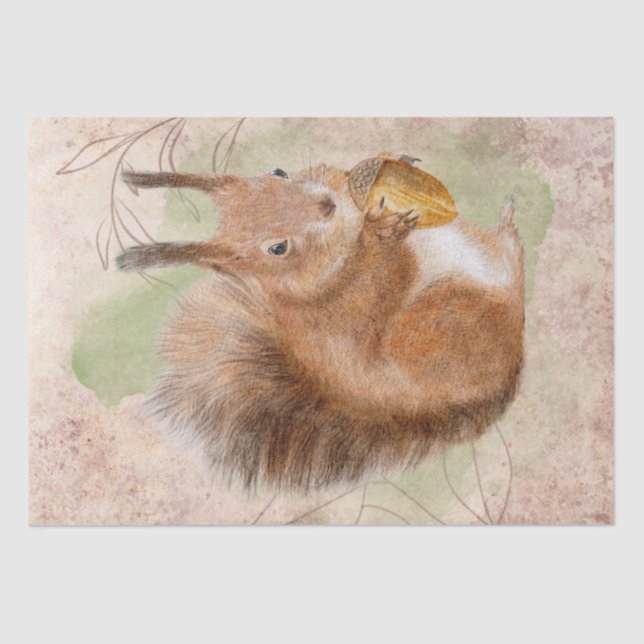 Squirrel Watercolor Tissue Paper (Front)