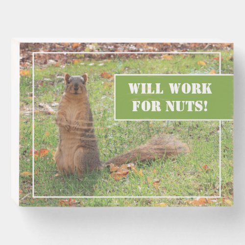 Squirrel Will Work for Nuts Wood Box Sign