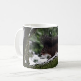 Squirrel Winter Photo Classic Mug
