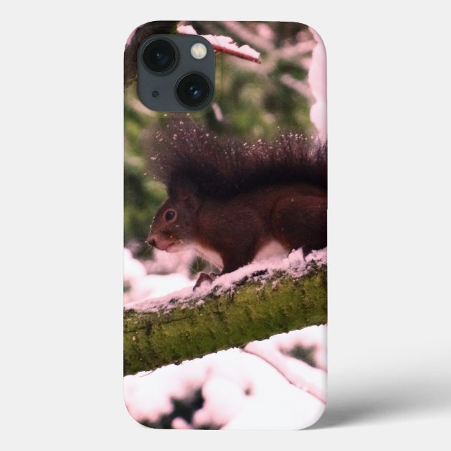 Squirrel Winter Photo  iPhone 6/6s, Tough Xtreme Case-Mate iPhone Case (Back)