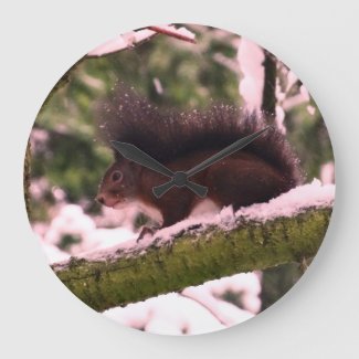 Squirrel Winter Photo  Round  Wall Clock