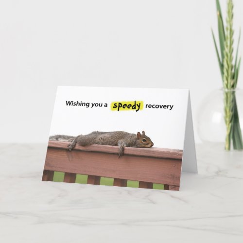 Squirrel _ Wishing you a speedy recovery Card