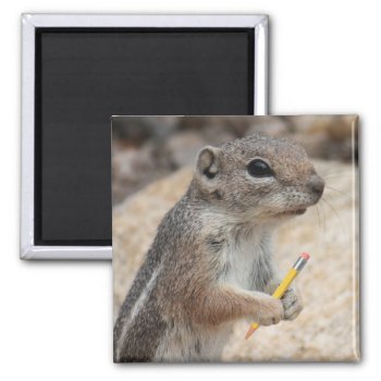 Squirrel With A Pencil Magnet by poozybear at Zazzle