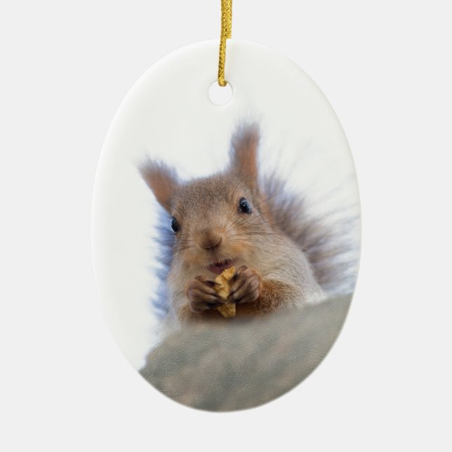 Squirrel with a walnut ceramic ornament (Front)