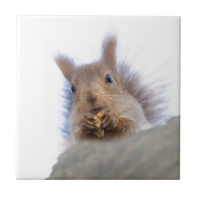 Squirrel with a walnut ceramic tile (Front)