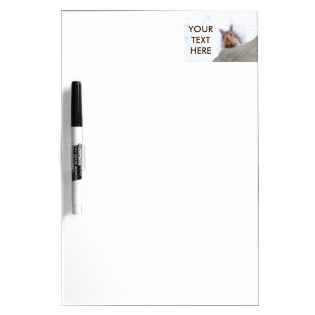 Squirrel with a walnut dry erase board (Front)