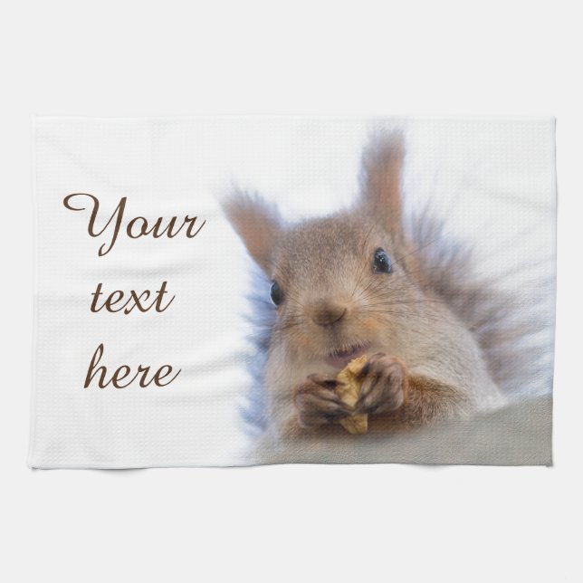 Squirrel with a walnut kitchen towel (Horizontal)
