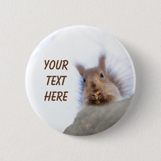 Squirrel with a walnut pinback button (Front)