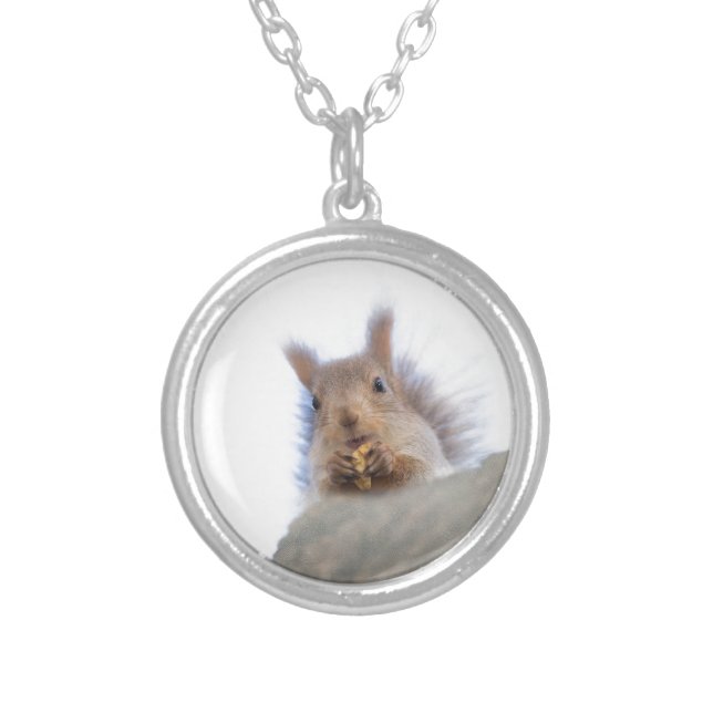 Squirrel with a walnut round pendant necklace (Front)