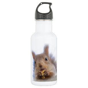 Squirrel with a walnut stainless steel water bottle