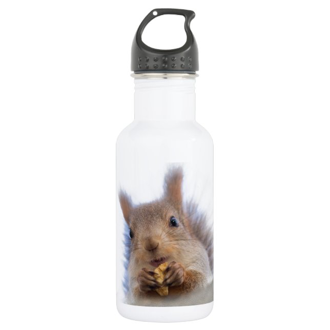 Squirrel with a walnut stainless steel water bottle (Front)