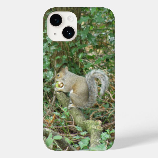 Squirrel with Acorn Case-Mate iPhone Case (Back)