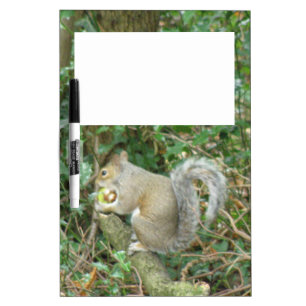 Squirrel with Acorn Memo Board