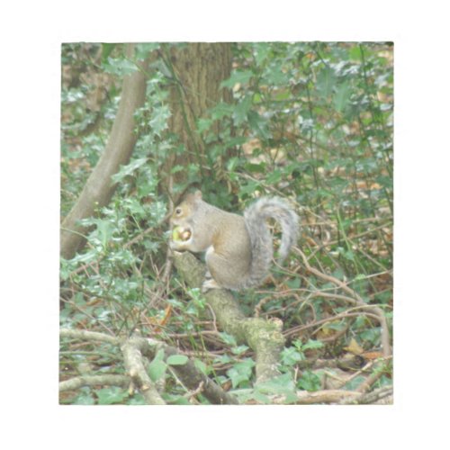 Squirrel with Acorn Notepad