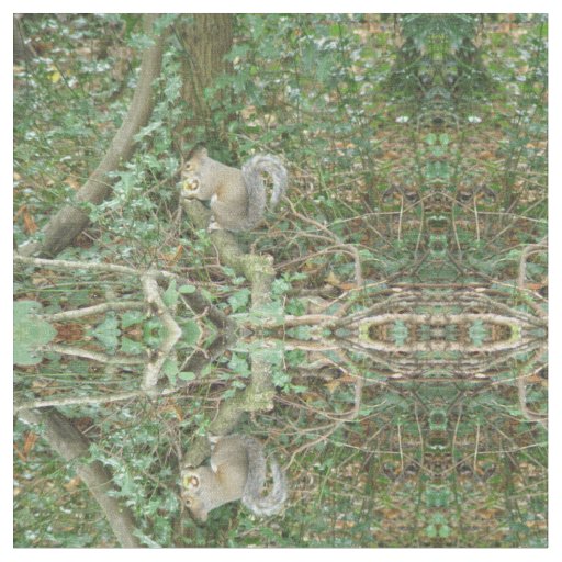Squirrel with Acorn Patterned Animal Fabric