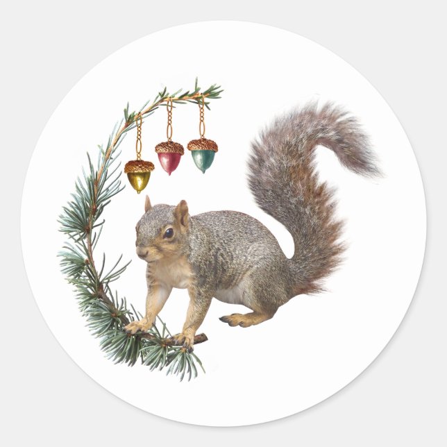 Squirrel with Acorn Swag Stickers (Front)