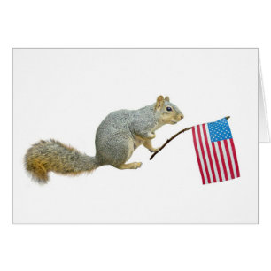 Squirrel with American Flag Cards