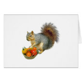 Squirrel with Basket of Tomatoes (Front Horizontal)
