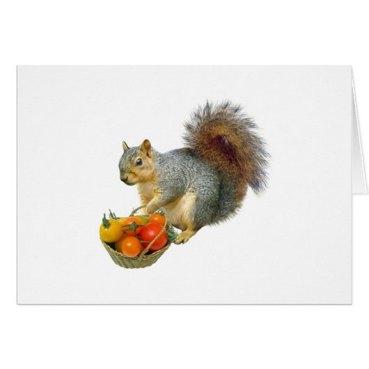 Squirrel with Basket of Tomatoes Cards (Front Horizontal)