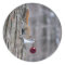 Squirrel with Christmas ornament stickers