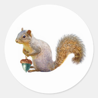 Squirrel with Colored Acorn Stickers