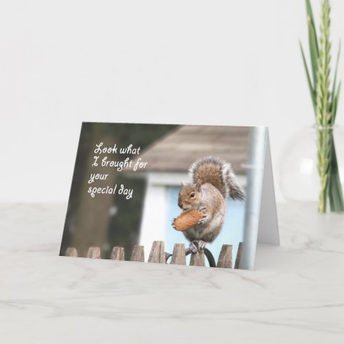 Squirrel with cookie Happy Birthday card _ Funny