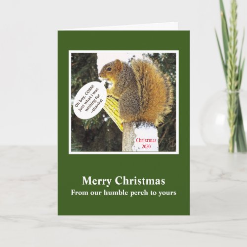 SQUIRREL WITH CORN COBCHRISTMAS HUMOR HOLIDAY CARD