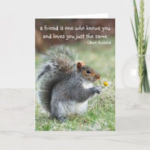 Squirrel with Daisy Friendship Quote Card