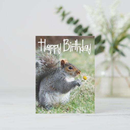 Squirrel with Daisy Happy Birthday Postcard | Zazzle