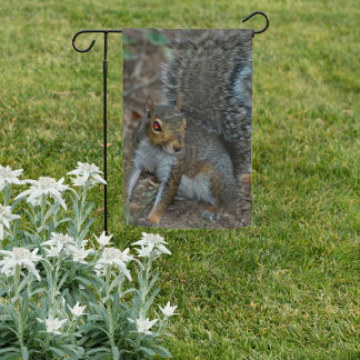Squirrel with glowing eyes garden flag