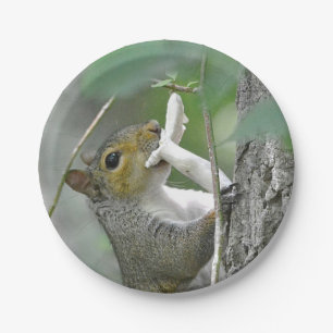 Squirrel With Mushroom Paper Plate