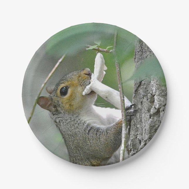 Squirrel With Mushroom Paper Plate (Front)