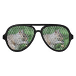 Squirrel with Nut Aviator Sunglasses