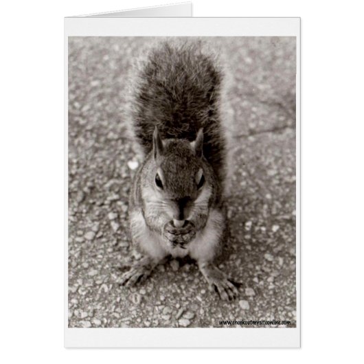 Squirrel with Nut Cards (Front)